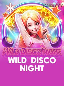 Wild Disco Night game cover